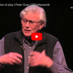 peter-gray-ted-talks